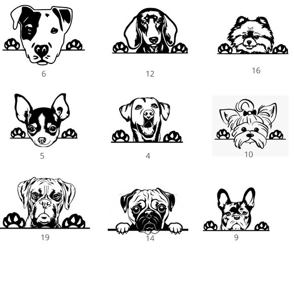 Custom Breed, Dog Blanket, Personalized - Picture 4 of 7